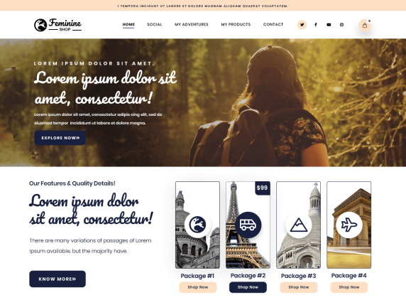Feminine Shop WordPress Theme