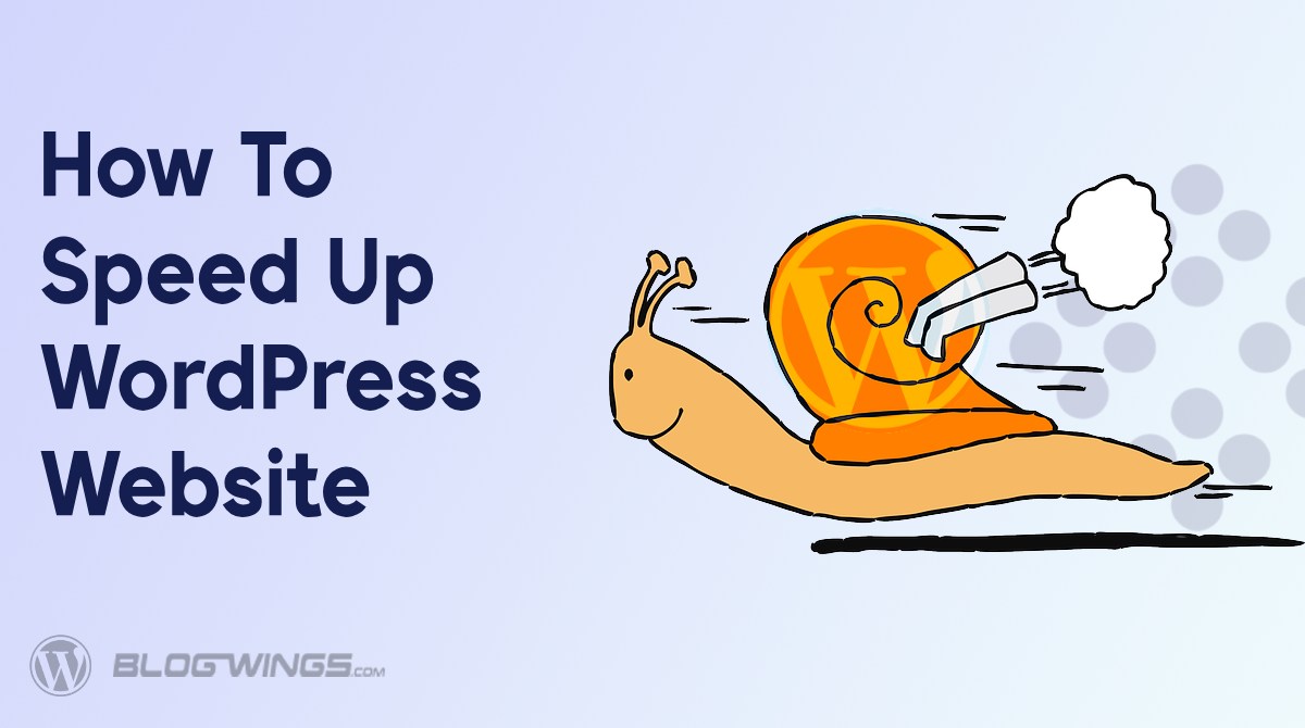 How to Speed up the WordPress Website