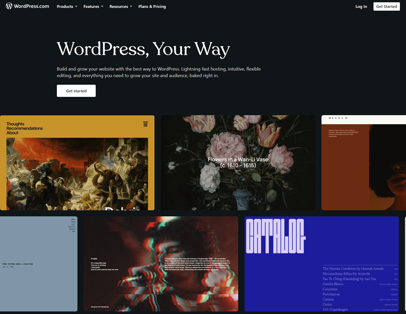 WordPress.Com Hosting