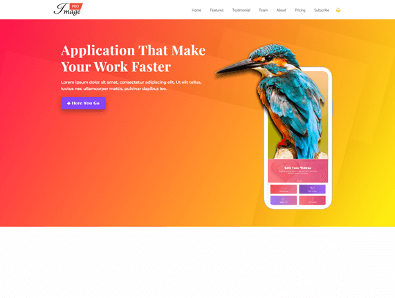 WordPress Theme for Business Application Platforms