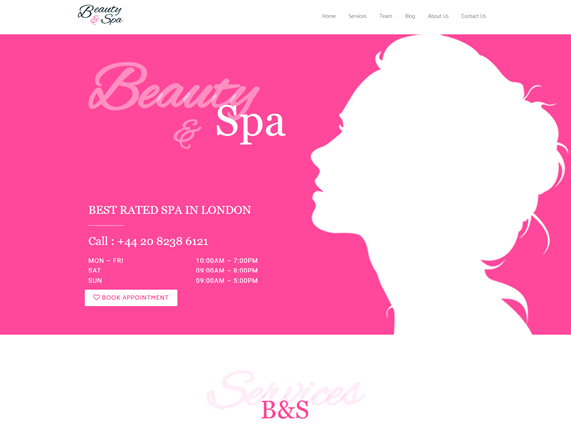 The Best WordPress Template for Beauty and Spa Professionals