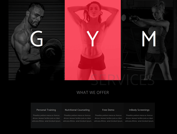 Best Fitness WordPress template